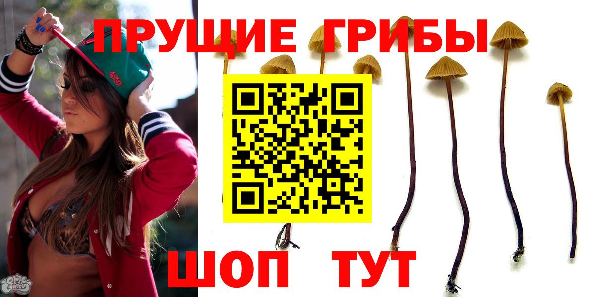 Галлюциногенные грибы GOLDEN TEACHER  как найти   Железногорск  Вход с VPN  Псилоцибиновые грибы GOLDEN TEACHER 